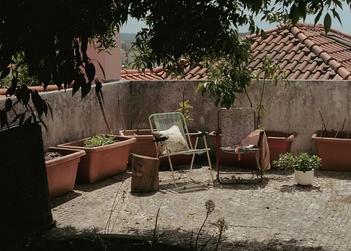 Erasmus House - Affittacamere