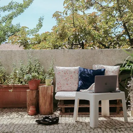 Erasmus House - Guest house Coimbra