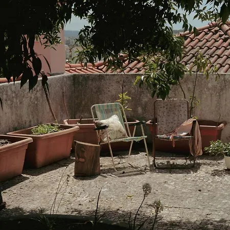 Erasmus House - Guest house