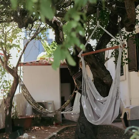 Erasmus House - Guest house