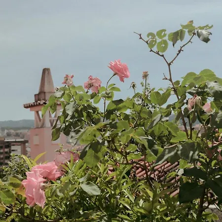 Erasmus House - Guest house Coimbra