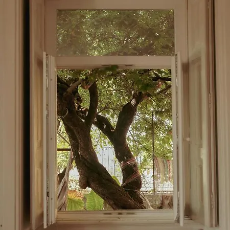 Guest house Erasmus House -