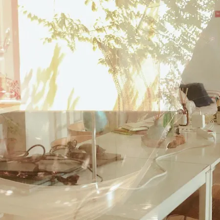 Guest house Erasmus House -