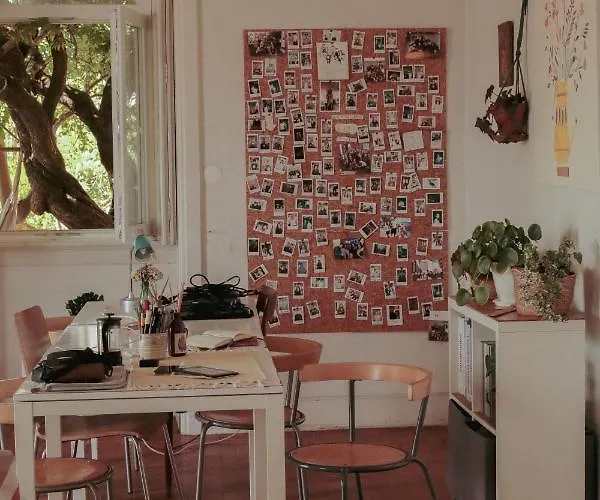 Erasmus House - بيت ضيافة *