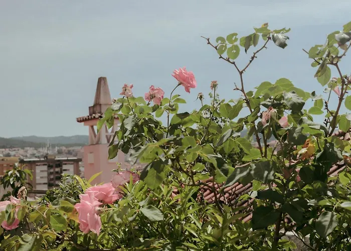 Erasmus House - بيت ضيافة كويمبرا