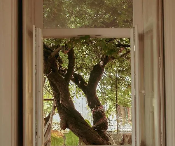 بيت ضيافة Erasmus House -